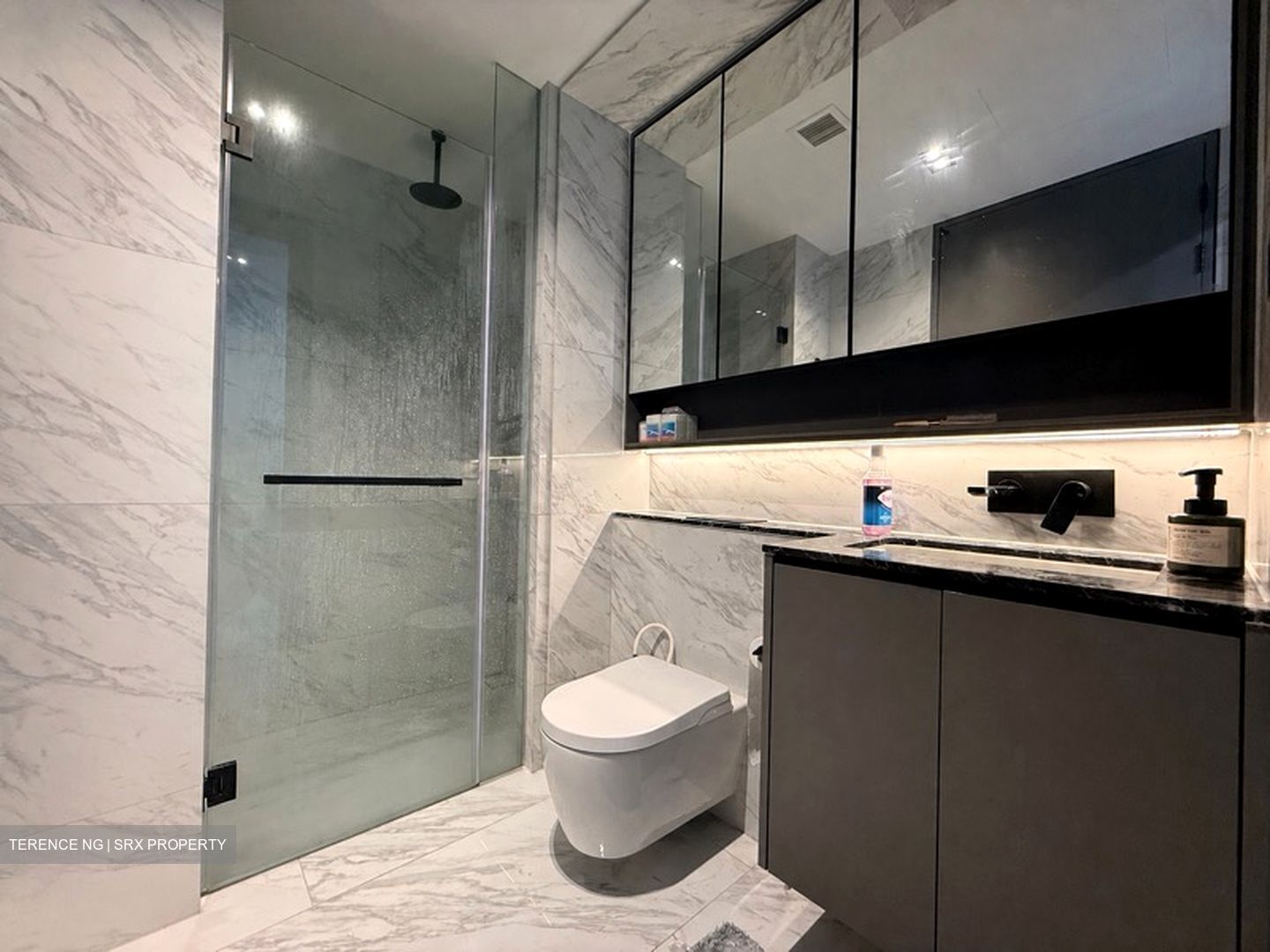 The Landmark (D3), Condominium #604906851